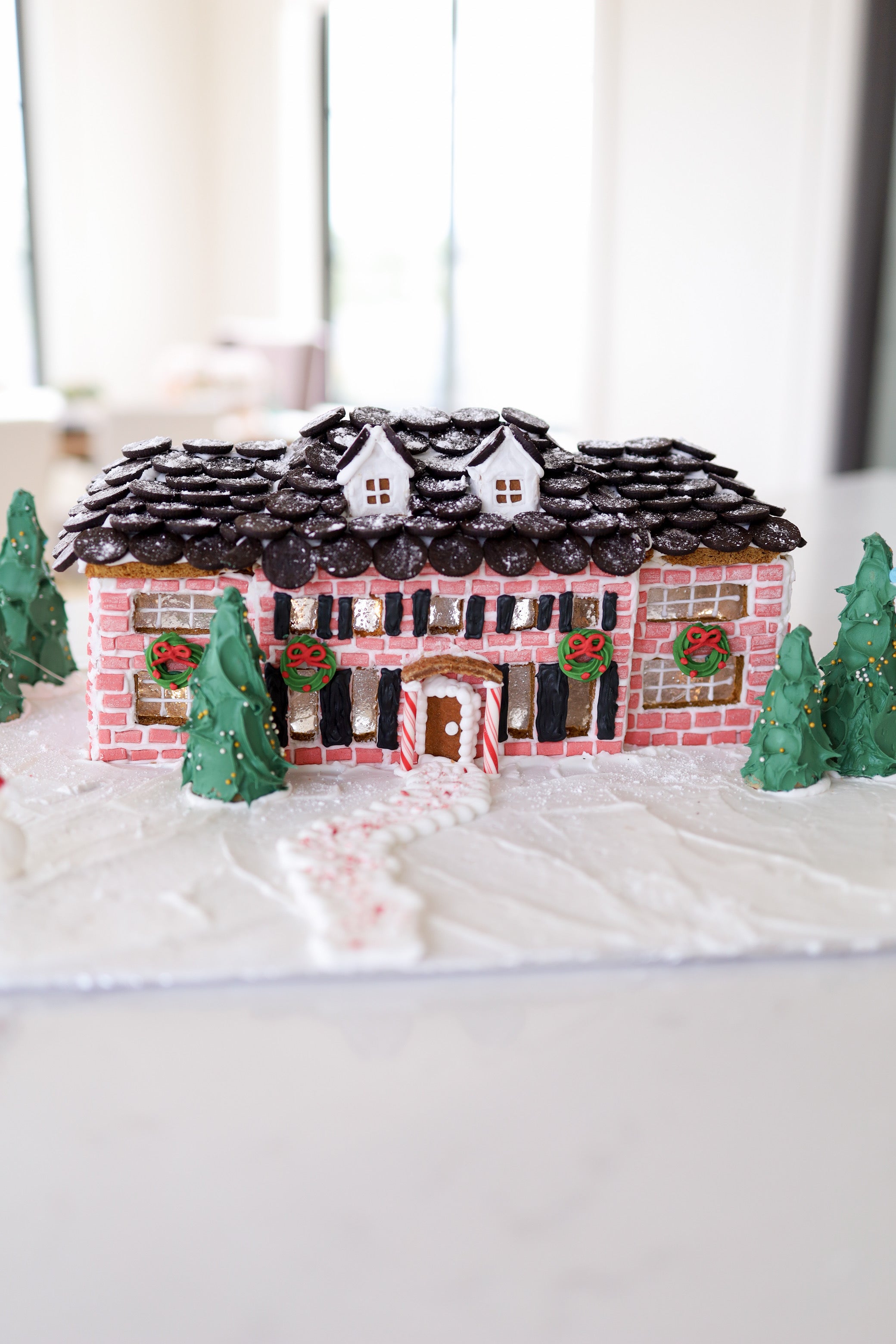 IMG 8296 'home alone' house template